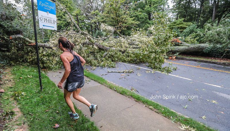 A large tree blocking West Paces Ferry Road at Andrews Drive in Fulton County is one of dozens of downed trees in metro Atlanta in the aftermath of Tropical Storm Michael. JOHN SPINK / JSPINK@AJC.COM