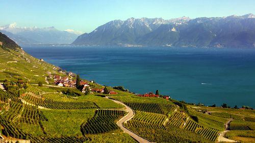 The Lavaux terraced vineyards were planted nearly a thousand years ago on dizzyingly steep slopes along Switzerland’s Lake Geneva. The area is a UNESCO world heritage site. (Joanne and Tony DiBona)