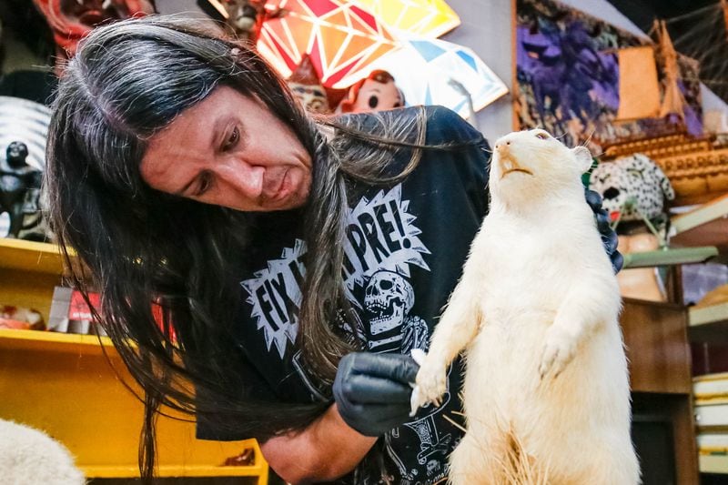 Nick Morgan cleans taxidermy animals at the Obscure Prop House in Chamblee on Wednesday, July 26, 2023. (Katelyn Myrick/katelyn.myrick@ajc.com)