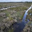 Drone photograph shows the Okefenokee Swamp on Monday, Mar. 18, 2024. (Hyosub Shin / Hyosub.Shin@ajc.com)