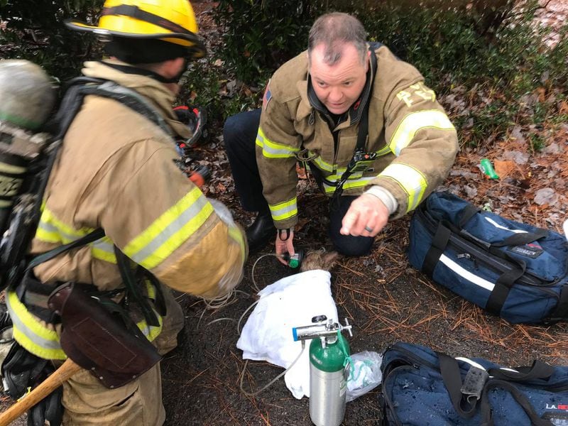 Firefighters work to revive an injured dog following the blaze.