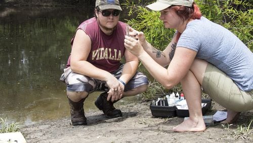 East Georgia State College and the Altamaha Riverkeeper Organization formed a partnership in 2015 to provide internships for biology students. Kaitlin Warren, the second intern, graduated in May and was then hired as the Oconee Watershed Manager for the Altamaha Riverkeeper. She is overseeing this summer s intern, biology major Zach Davis. Warren and Davis have been taking samples of the Ohoopee River to measure any changes to the water quality. The river lacked any baseline data until the fall of 2015, when this internship program started, Warren said. Interns are required to obtain a quality control and quality assurance training trough Georgia Adopt a Stream, an EPA citizen scientist water quality program. The Chemical Monitoring program includes training in the following parameters: air temperature, water temperature, conductivity, pH and dissolved oxygen.