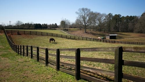 February 11, 2016 - Milton, Ga: A horse grazes in the pasture in Fortitude Farm at Yellow House Farm Thursday, February 11, 2016, in Milton, Ga. The Yellow House Farm has thirty-eight stalls, a covered arena, and a few pastures. The Yellow House Farm is one of many horse farms in Milton.