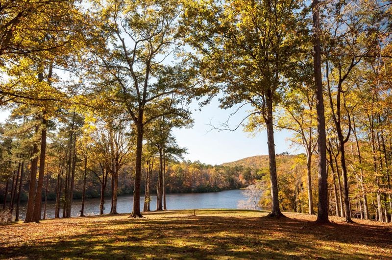 A view from the Lodge at Blue Springs, which played host to famous guests including President Franklin D. Roosevelt and three other U.S. presidents, was sold in late March to an undisclosed buyer. The home was developed by the Callaway family in the 1930s. SPECIAL to the AJC from Harry Norman Realtors.