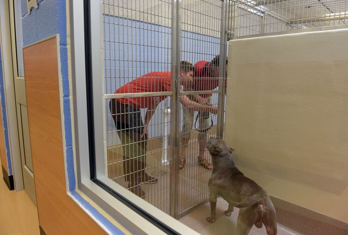 DeKalb opens new $12M animal shelter