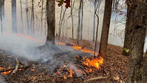 A wildfire was reported near the Lake Allatoona shoreline by the U.S. Army Corps of Engineers.