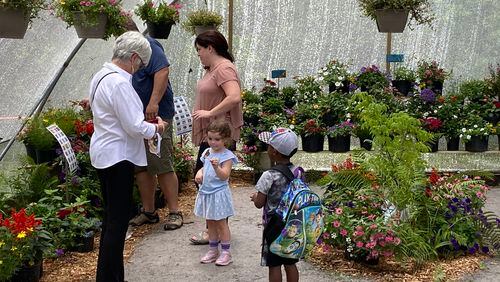 Recent guests at the Butterfly Encounter enjoy the hundreds of butterflies during an afternoon visit.