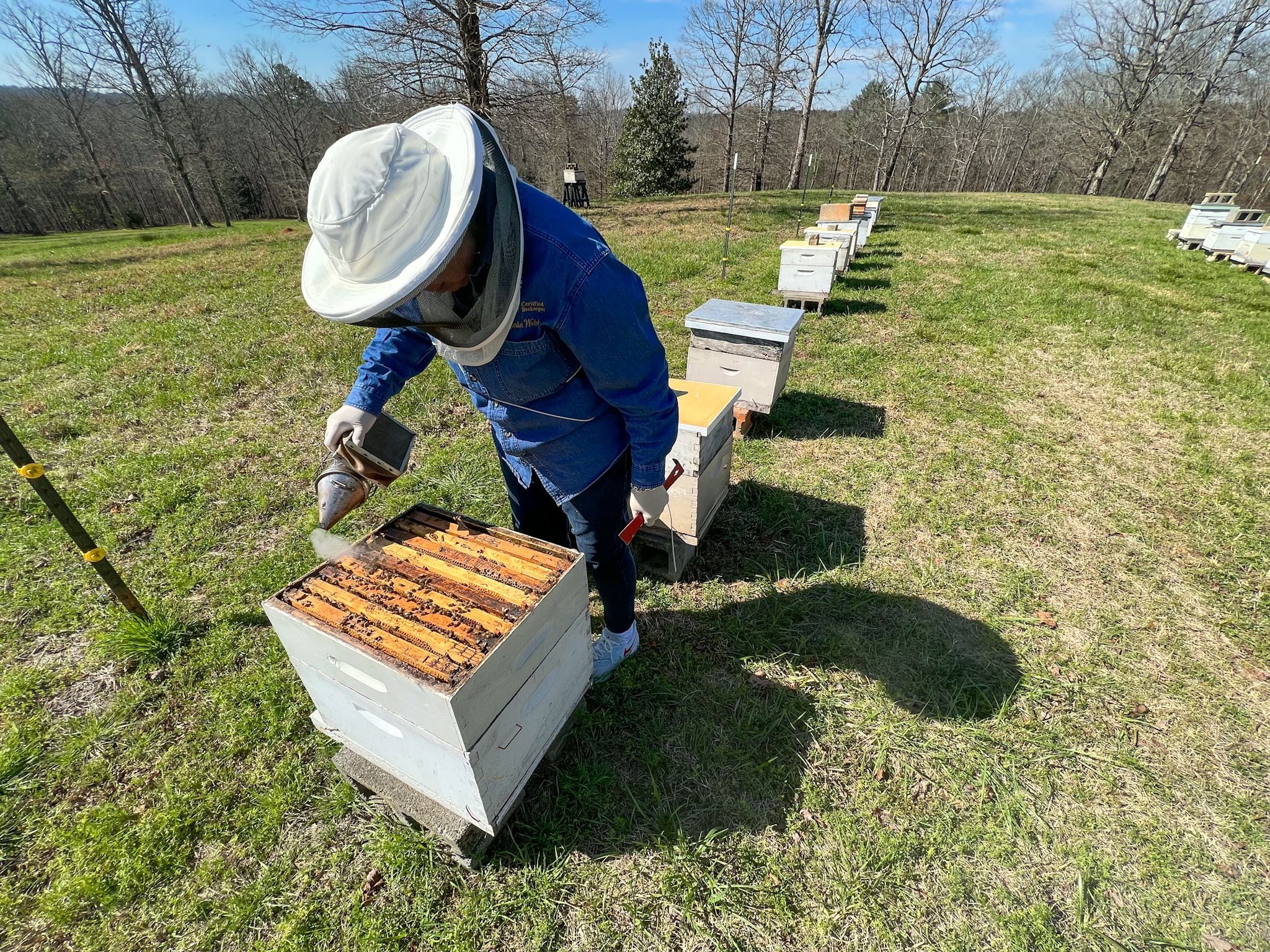 Do Women Make Better Beekeepers? – Savannah Bee Company