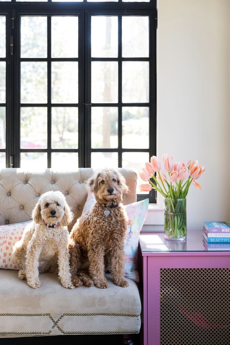 Interior designers like Hope Austin agree that using performance fabrics that resist stains is key to keeping pet messes under control.
(Courtesy of Laura Negri Photography)