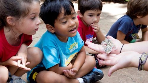 Children enjoy camp at Zoo Atlanta.