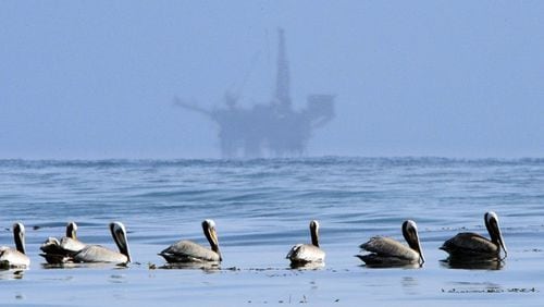 In this May 13, 2010 file photo, pelicans float on the water with an offshore oil platform in the background in the Santa Barbara Channel off the coast of Santa Barbara, Calif. (AP Photo/Mark J. Terrill, File)