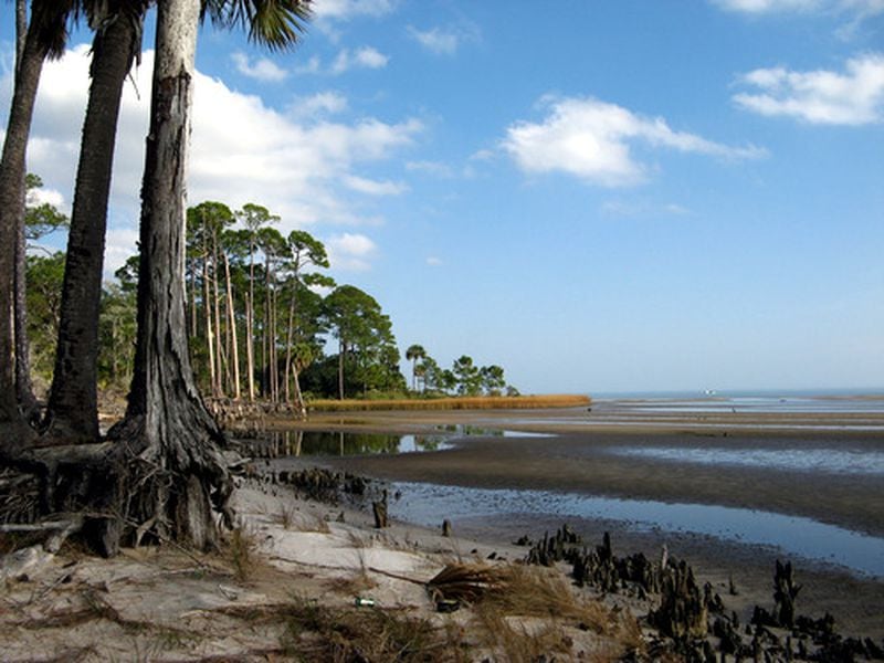 Apalachicola Bay is known for its slow pace, fantastic oysters and equally fantastic natural scenery