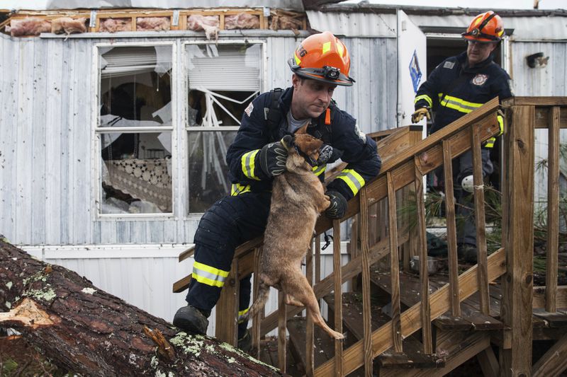 A rescue worker carries a dog that was trapped inside a mobile home Monday, Jan. 23, 2017, in Big Pine Estates that was damaged by a tornado, in Albany, Ga. Fire and rescue crews were searching through the debris on Monday, looking for people who might have become trapped when the storm came through. (AP Photo/Branden Camp)
