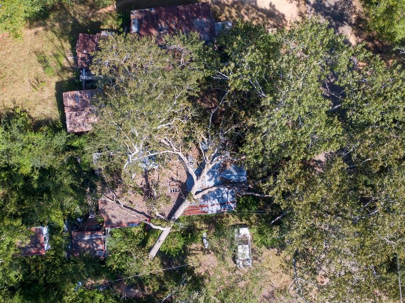 Aerial photography shows long-term visible damage from past storms on Center Street in Cuthbert. (Hyosub Shin / Hyosub.Shin@ajc.com)