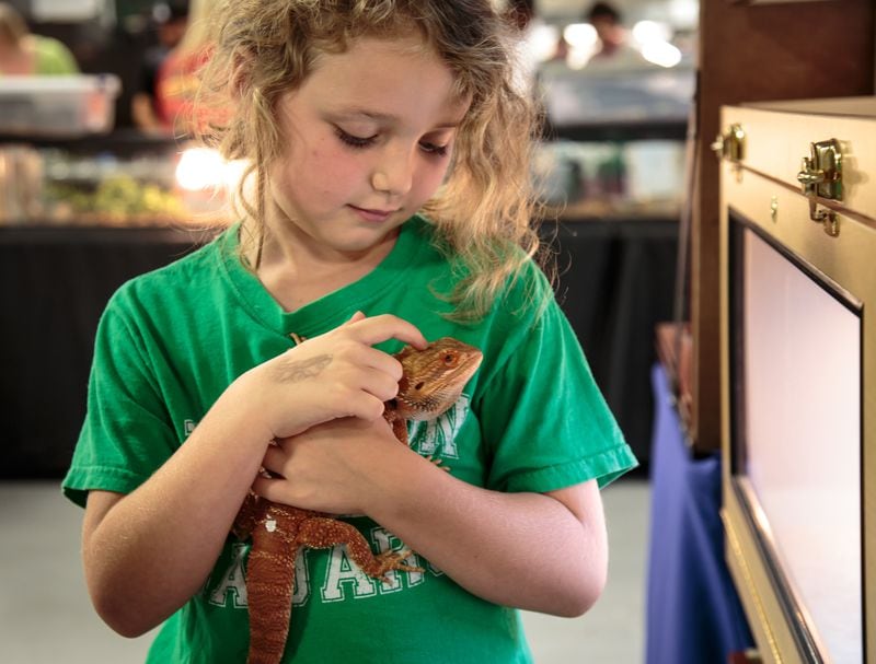 Violet Johnson holds bearded dragon lizards during Repticon Atlanta at the Gwinnett County Fairgrounds in Lawrenceville, GA Saturday, July 23. STEVE SCHAEFER / SPECIAL TO THE AJC