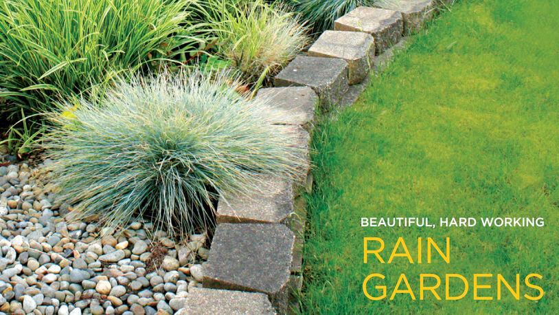 Roswell’s Watershed Protection Department is sharing information on how implementing a rain garden can enhance a homeowner’s landscape and protect the city’s water supply. COURTESY RESOURCE MEDIA