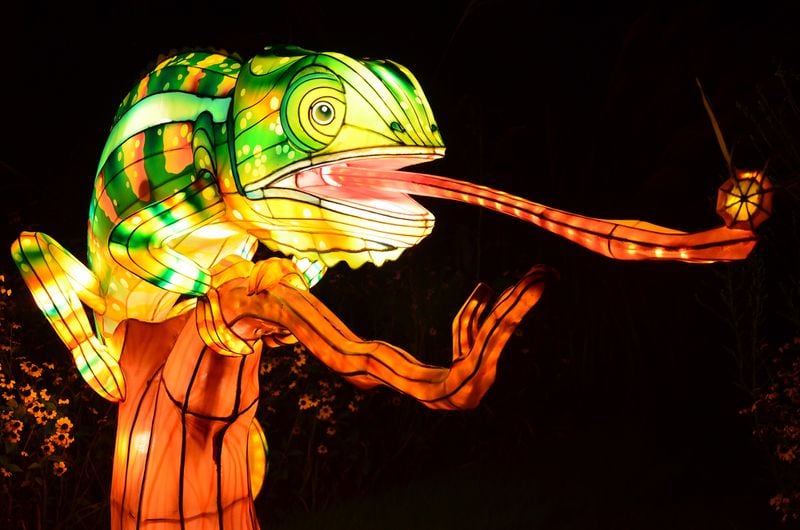 Even lizard lanterns want to celebrate the holidays at IllumiNights at the Zoo: A Chinese Lantern Festival. 
Courtesy of Hanart Culture.