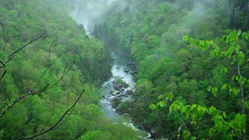 A northwest Georgia man fell to his death at Little River Canyon in northeast Alabama. (Credit: National Park Service)