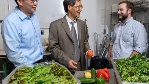 Postdoctoral fellow Bopeng Zhang, Professor Yongsheng Chen and graduate research assistant Thomas Igou from the Georgia Tech School of Civil and Environmental Engineering will pilot a project to use wastewater nutrients to grow lettuce, tomatoes and other fruits and vegetables.