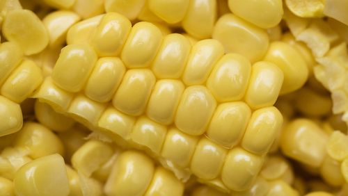 Corn, freshly cut from the cob, in a file photo.