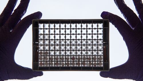 A scientist examining cells in a 96-well plate, which allows scientists to look at lots of cells at the same time and directly compare cells that have or have not been treated with a drug.