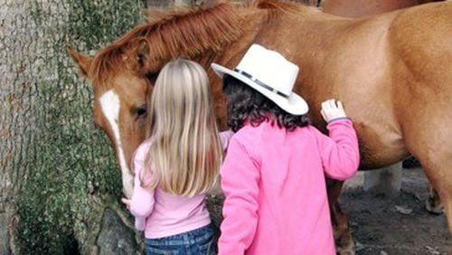 For the next two years, an equine therapy business will continue to help foster children near Marietta. AJC file photo