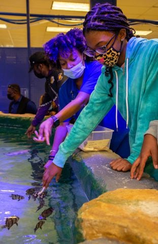 SeaQuest's Arin Plummer (left) helps Aubrey Wilson feed fish during the opening of SeaQuest aquarium in The Mall at Stonecrest. PHIL SKINNER FOR THE ATLANTA JOURNAL-CONSTITUTION.