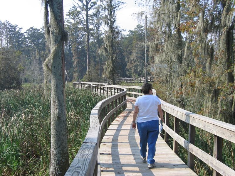 The winding boardwalk in the Phinizy Swamp Nature Park near Augusta is a prime birdwatching spot.