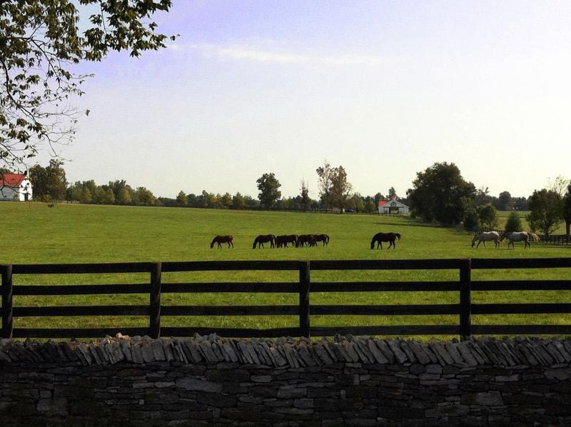Lexington, Ky., country roads are lined with stone-and-plank fences framing rolling emerald pastures and world-famous thoroughbreds. CONTRIBUTED BY VISITLEX STAFF
