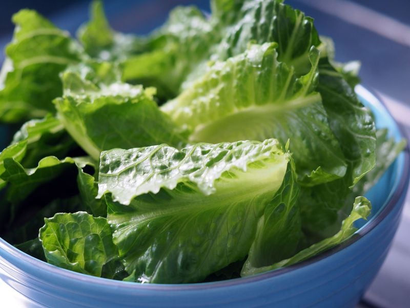 Green salad cos romaine lettuce sliced in blue bowl
