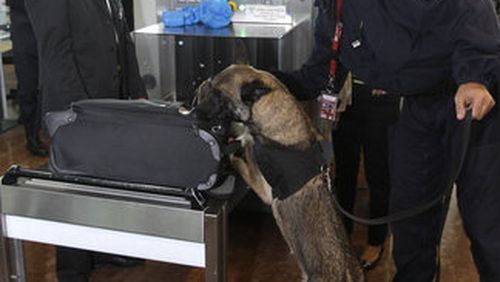 A police officer with a sniffer dog checks a passenger's suitcase at a security control before boarding their plane, at the Nice-Cote d'Azur airport, in Nice, France, Wednesday, May 4, 2011. Security personnel remain vigilant following the death of al-Qaida's Osama bin Laden. (AP Photo/Lionel Cironneau)