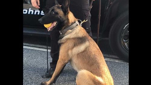 Leadership Johns Creek aims to establish a training facility for police dogs to complete required monthly training.