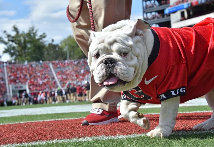 Photos: No. 3 Bulldogs are stunned by South Carolina