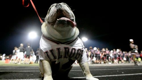 OCTOBER 9, 2015 SUWANEE North Gwinnett Bulldogs mascot Fred barks at fans at a high school football game against Peachtree Ridge Lions at North Gwinnett Stadium Friday, October 9, 2015. TAMI CHAPPELL/SPECIAL TO THE AJC