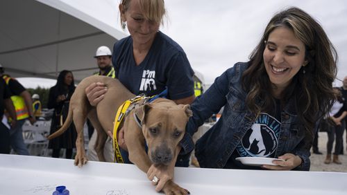 Lifeline Animal Project's representative dog, Brandy, supported by  Fulton County Animal Services Director of Operations Belinda Bell (left) and Lifeline Chief Marketing Officer Heather Friedman (right) ,  stamps her paw on the inaugural beam that will be built into the new shelter in Fulton County, on  Friday, May 19, 2023.   (Olivia Bowdoin for the Atlanta Journal Constitution).