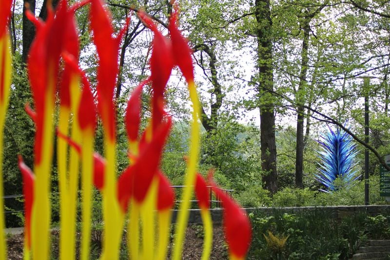 Dale Chihuly’s “Fern Dell Paintbrushes” and “Indigo Blue Icicle Tower” will be on display in the Atlanta Botanical Garden starting April 30. (TAYLOR CARPENTER / TAYLOR.CARPENTER@AJC.COM)