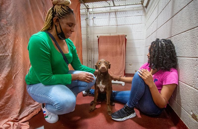 Denetra Station and her daughter Alexandria Siler play with Penny, a dog they are thinking of adopting at the Fulton County Animal Services Wednesday, June 23, 2021. STEVE SCHAEFER FOR THE ATLANTA JOURNAL-CONSTITUTION