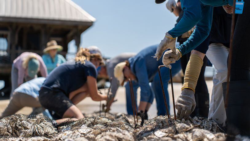 Volunteers secure oyster bags for a reef building operation on Daufuskie Island. 
Courtesy of Haig Point