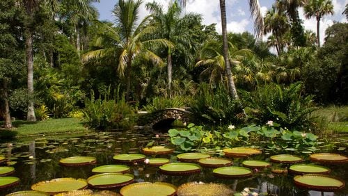 The 18-acre McKee Botanical Garden has one of the largest outdoor collections of water lilies in the United States and is listed on the National Register of Historic Places. CONTRIBUTED BY: Richard and Pam Winegar