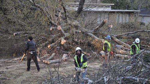 Berkeley Lake homeowners encouraged to understand tree removal guidelines. AJC file photo