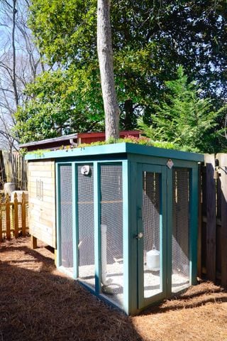Chicken coop, homeowners' favorite outdoor feature