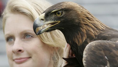 Auburn's War Eagle VI mascot dies