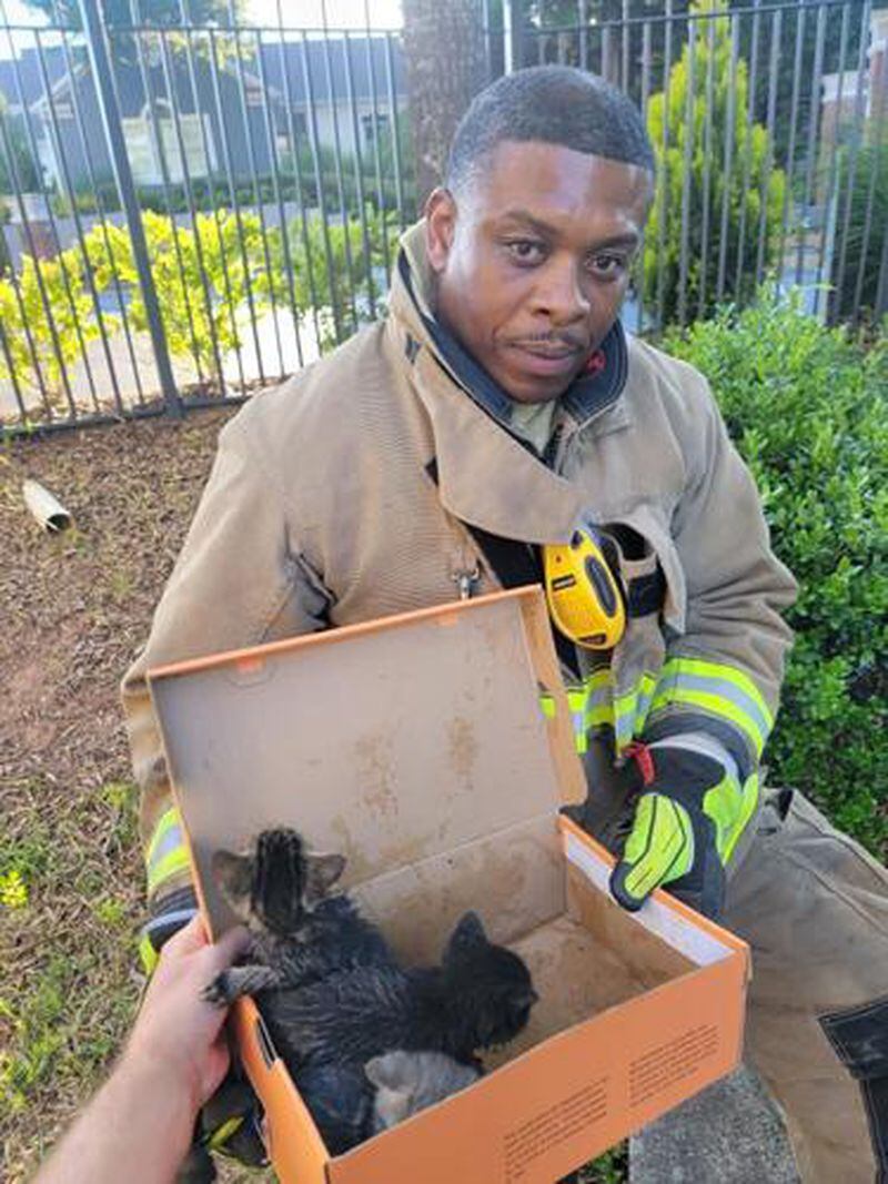 Capt. Dale Matthais is shown with kittens he helped rescue from a storm drain.