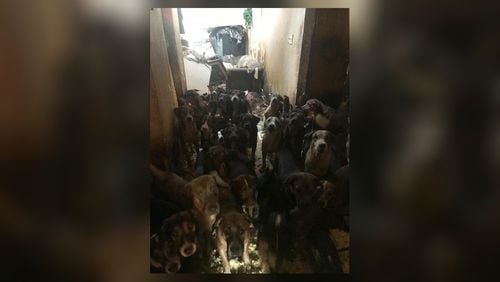 The number of dogs recovered in a weekend house fire in south Fulton County has risen from 50 to 85, authorities said.