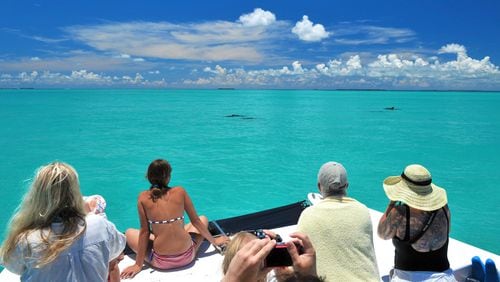 Take advantage of a plethora of water activities in Key West, like the Dolphin Watch & Snorkel tour from Fury Water Adventures. CONTRIBUTED BY FURY WATER ADVENTURES