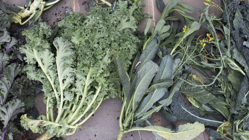 Writer Catherine Lamb approached the Governor's Mansion about harvesting kale plants flanking Nathan Deal's front gates. The Governor obliged. She donated the greens to an area church that offers free meals to the needy.