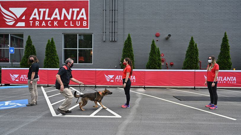 Jerry Bishop (left), director of training with the 360 K9 Group, demonstrates how his bio detection K-9 partner detects scents associated with COVID-19 during a presentation on safety measures planned for the AJC Peachtree Road Race at the Atlanta Track Club in Atlanta. (Hyosub Shin / Hyosub.Shin@ajc.com)