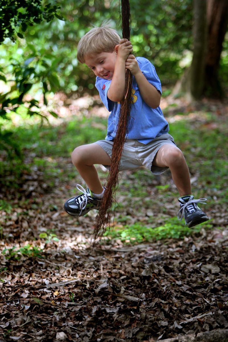 022608 npc hike 0049444A Staff Photo by Bruce R. Bennett/The Palm Beach Post -- West Palm Beach -- The Hikes for Tykes program at Pine Jog Environmental Education Center takes children and their parents on nature walks. Here, Preston Reiter (cq, age 5, of West Palm Beach) swings on a strangler fig root at the start of the program Tuesday, which also includes nature-based activities for kids. He was there with his brother Colton (cq, not pictured, age 2) and his mom Jackie (cq, not pictured). NOT FOR DISTRIBUTION OUTSIDE COX PAPERS. OUT PALM BEACH, BROWARD, MARTIN, ST. LUCIE, INDIAN RIVER AND OKEECHOBEE COUNTIES IN FLORIDA. OUT ORLANDO. TV OUT. TABLOIDS OUT. MAGAZINES OUT. WIDE WORLD OUT. USA TODAY OUT. INTERNET USE OUT. NO SALES. Young children need time outside and time to play, both of which are vanishing as kindergarten becomes more academic. (AJC File)
