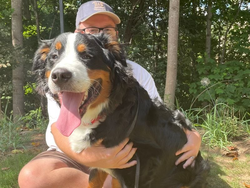 Joey Turner is the affectionate Bernese mountain dog of former state Rep. Scott Turner. (Courtesy photo)