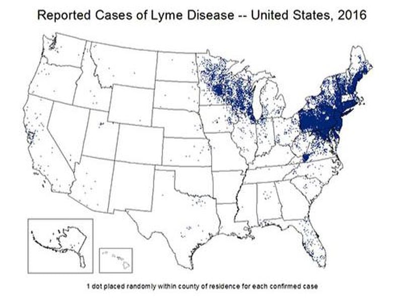 The number of cases of Lyme disease have more than doubled between 2001 and 2016, the CDC reported.